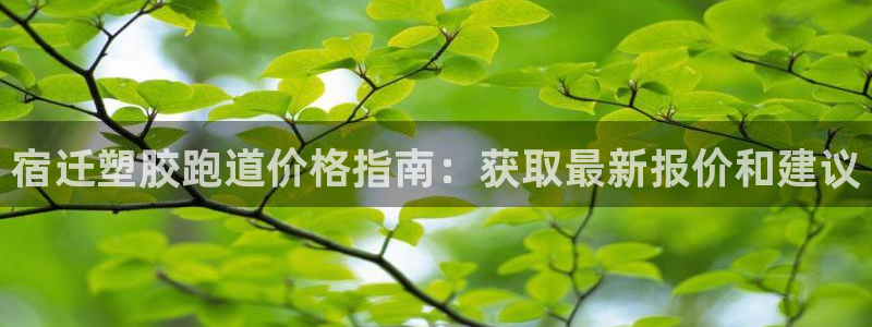 尊龙,人生就是博!登录国际：宿迁塑胶跑道价格指南：获