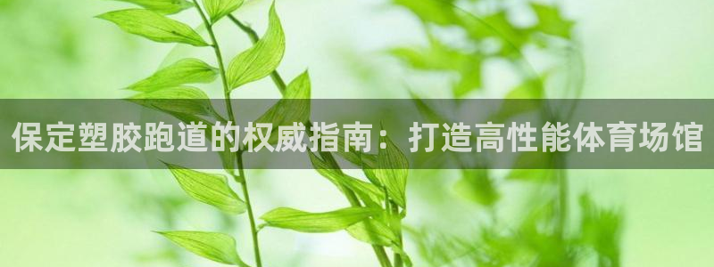 尊龙凯时平台还是万搏好：保定塑胶跑道的权威指南：打造高性能体育场馆