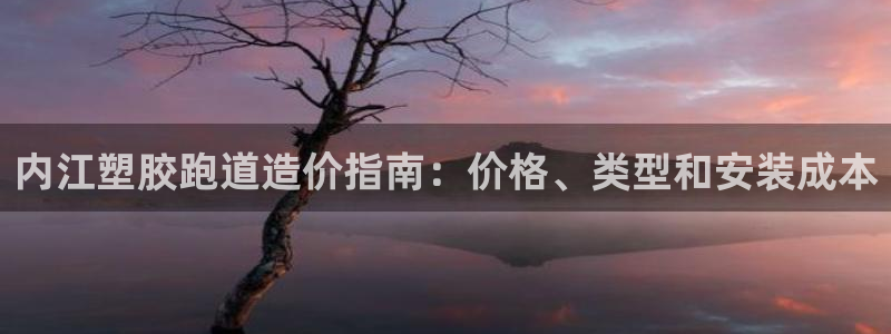 尊龙凯时 人生就是搏客服：内江塑胶跑道造价指南：价格、类型和安装成本