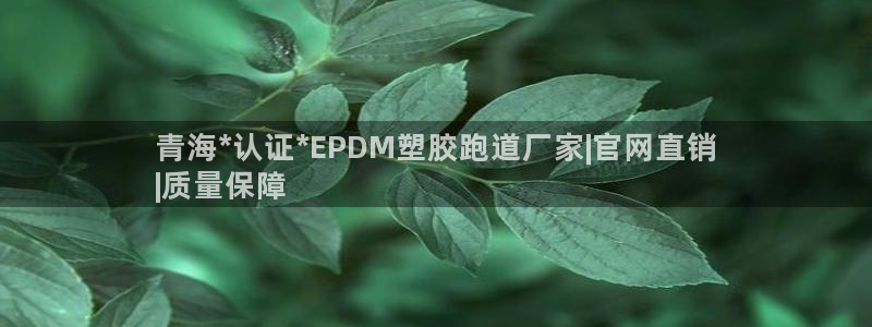 尊龙人生就是博l：青海*认证*EPDM塑胶跑道厂家|