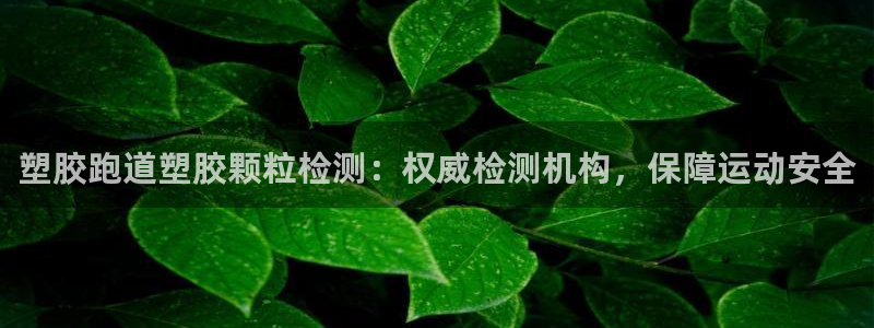 凯时k88最新：塑胶跑道塑胶颗粒检测：权威检测机构，保障运动安全