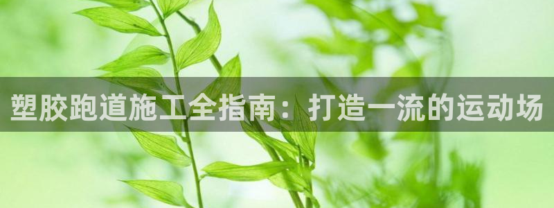 尊龙多少岁：塑胶跑道施工全指南：打造一流的运动场