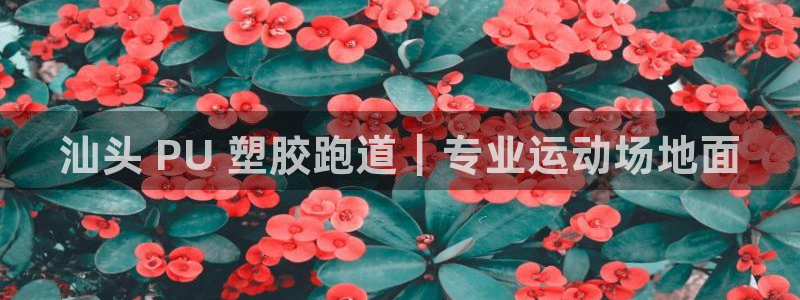 尊龙凯时人生就是搏包装优势：汕头 PU 塑胶跑道｜专