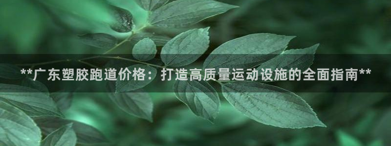 尊龙用现金一下可靠送38元：**广东塑胶跑道价格：打造高质量运动设施的全面指南**