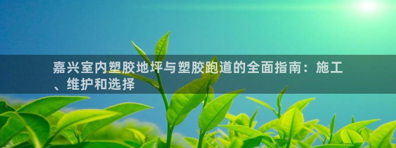 下载尊龙app：嘉兴室内塑胶地坪与塑胶跑道的全面指南：施工
、维护和选择